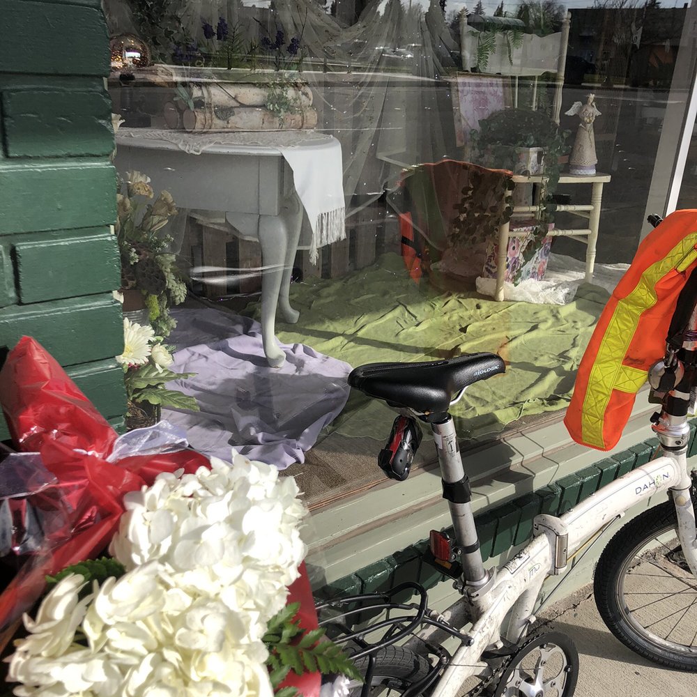 Melody's Flowers - What I bought at Melody's Flowers and how I transported them - Florists Near Me - Burlington, Washington Melody's Flowers - What I bought at Melody's Flowers and how I transported them - Florists Near Me - Burlington, Washington