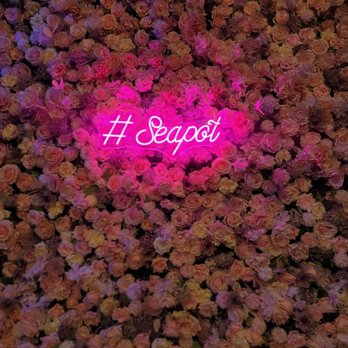 Seapot - Asian Fusion Near Me - Sacramento, California Seapot - Asian Fusion Near Me - Sacramento, California