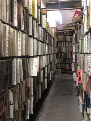 Jerry's Records by null