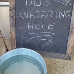 Southern hospitality of the canine kind outside the front door. How sweet!