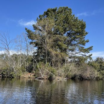Sesquicentennial State Park - Parks Near Me - Columbia, South Carolina