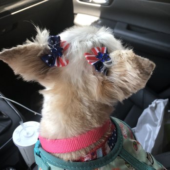 Tangled tails pet salon - Cute bows and bandanna - Pet Groomers Near Me - Modesto, California