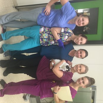 Willow Creek Veterinary Center - Willow Creek Technicians are the BEST! - Veterinarians Near Me - Reading, Pennsylvania Willow Creek Veterinary Center - Willow Creek Technicians are the BEST! - Veterinarians Near Me - Reading, Pennsylvania