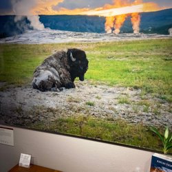 Mangelsen Tom-Images of Nature Gallery