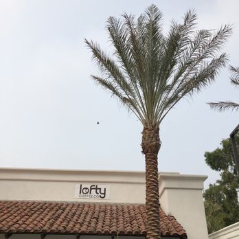 Lofty Coffee La Costa - Front entrance - Breakfast & Brunch Near Me - Carlsbad, California