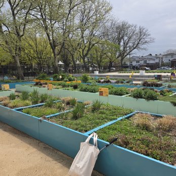 Carol Pino Learning Farm - Community Gardens Near Me - Brooklyn, New York