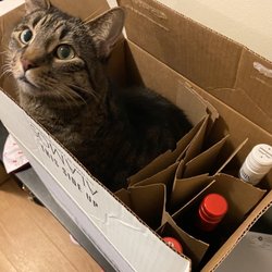The Real Canadian Liquor Store - Lorenzo is doing a QA/QC to make sure we got the right wine!!!