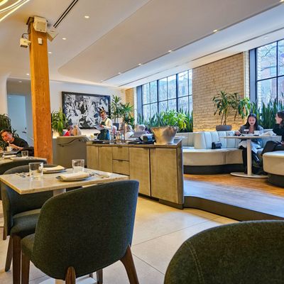 Vela Toronto by null