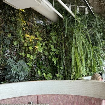 Root Down DIA - Plant wall - New American Near Me - Denver, Colorado Root Down DIA - Plant wall - New American Near Me - Denver, Colorado