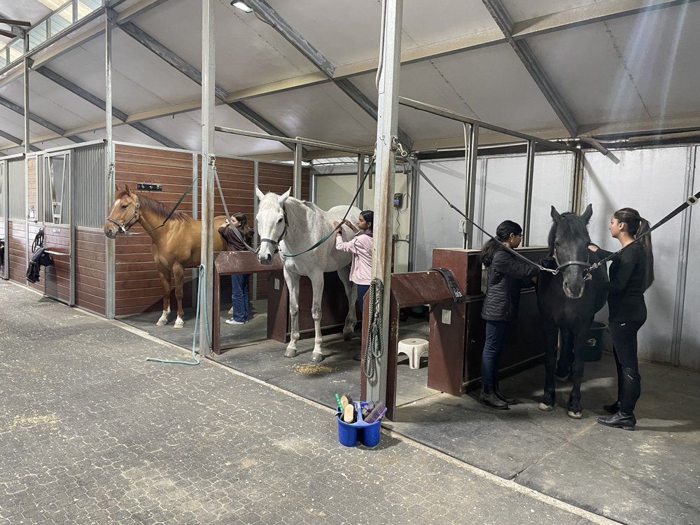 MEM Equestrian - equestrian in Castro Valley, CA