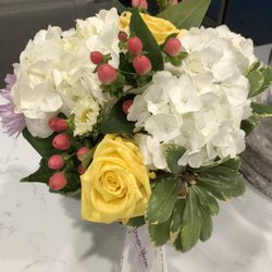 Prosper Blooms
