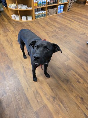 Rock Art Brewery by null