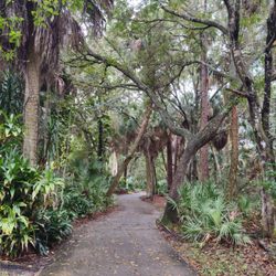 Woodside Park - Shady Florida native forest in Crane Creek watershed along nature trail