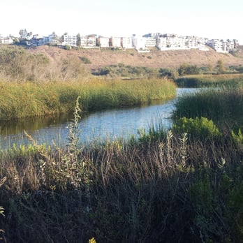Ballona Wetlands - Hiking Near Me - Playa Del Rey, California Ballona Wetlands - Hiking Near Me - Playa Del Rey, California