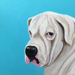 Zawi Studio - 16x20' pet portrait