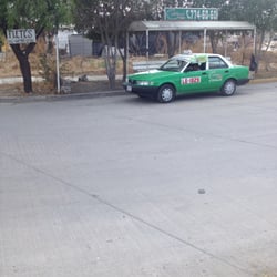 Sitio de Taxis Álvaro Obregón - Sitio de Taxis Álvaro Obregón en la colonia Bosques de la Pradera.