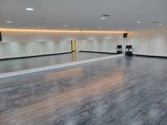 Vitalidad Movement Arts Center (VMAC) by null