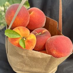Peaches on Laws Road - Our bags hold 5-6 lbs.
Cash only.
$3, lb
9320 Laws Road
Clermont FL 34714
#PeachesOnLawsRoad
#upick