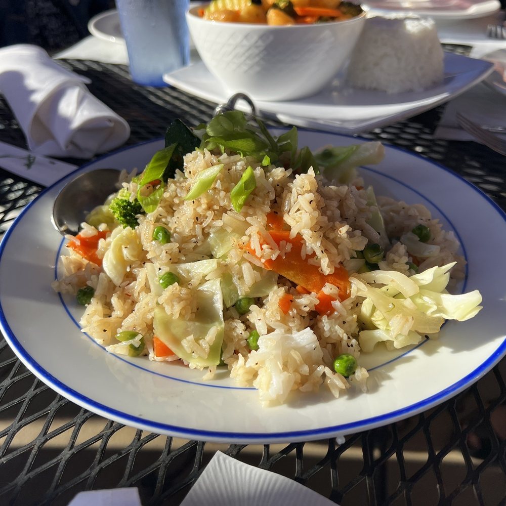 Thai Village - a plate of rice and vegetables - Thai Near Me - Carmel Valley, California