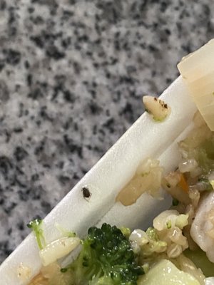 New China Pearl by null