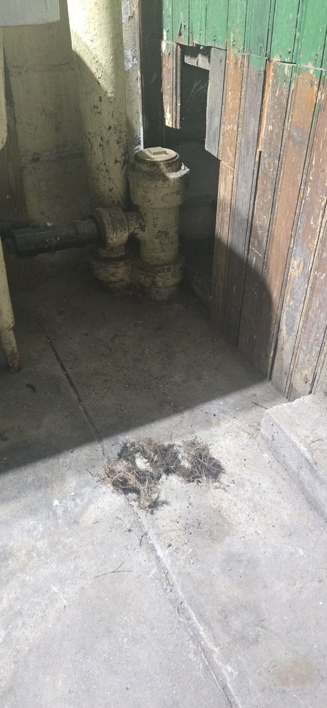 Dean's Sewer & Drain Cleaning Service - septic in Springfield, MA