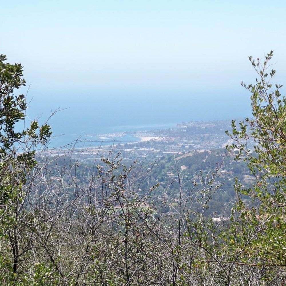 Cold Spring Trail - view of the SB Pier from the trail - Hiking Near Me - Santa Barbara, California Cold Spring Trail - view of the SB Pier from the trail - Hiking Near Me - Santa Barbara, California