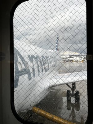 American Airlines by null