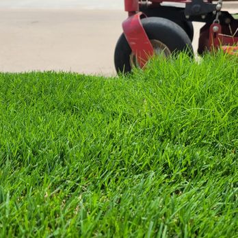 Pat’s Yard Care - a lawn mower in the foreground - Lawn Services Near Me Pat’s Yard Care - a lawn mower in the foreground - Lawn Services Near Me