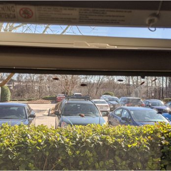 Cortland Midtown East - Boxelder bug infestation inside the window screens - Apartments Near Me - Raleigh, North Carolina Cortland Midtown East - Boxelder bug infestation inside the window screens - Apartments Near Me - Raleigh, North Carolina