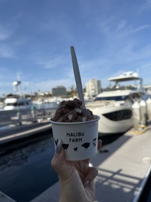 Malibu Farm Lido by null