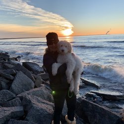 Lovely Doodles - Franklin on a hike by the lake