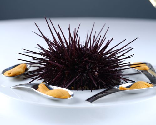 Votum Restaurant by null