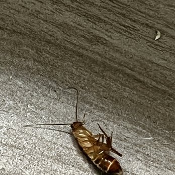 Advantage Inspection Service - Home Inspectors Near Me - Phoenix, Arizona