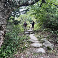 Andrews Bald Trail - Hiking fam