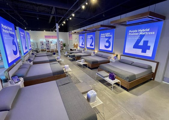 Purple - Factory Outlet