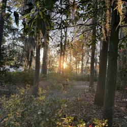 Savannah Botanical Gardens