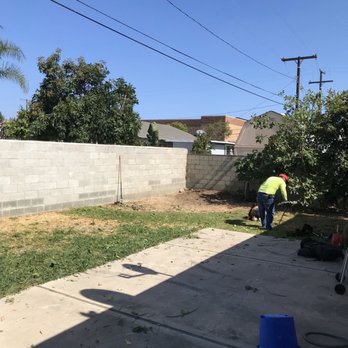 Tony's BC Tree Service - End result - Tree Services Near Me - Orange, California