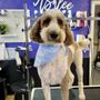 Glitter Grooming