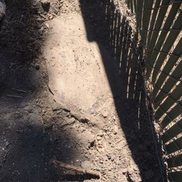 Stump was cut flush and not grinded at all