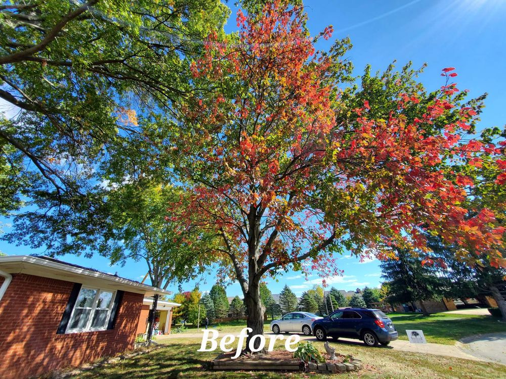 H & J Lawn Care Service - tree service in Indianapolis, IN