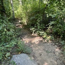 Skunk Hollow