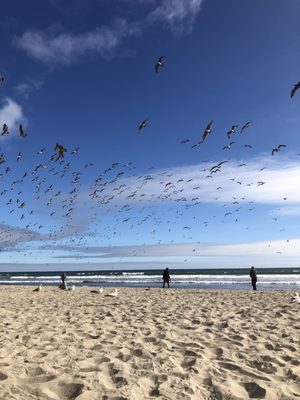 Stinson Beach by null