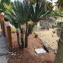 Photo of Terra Fina Landscaping