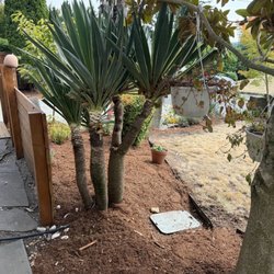 Terra Fina Landscaping