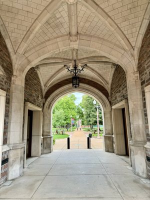 Washington University in St. Louis by null