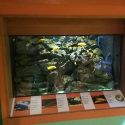 Bolton Museum, Art Gallery and Aquarium