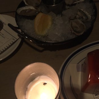 The Optimist - a dead kitchen fly burning for quite some time with our food.so pleasant! - Seafood Near Me - Atlanta, Georgia The Optimist - a dead kitchen fly burning for quite some time with our food.so pleasant! - Seafood Near Me - Atlanta, Georgia