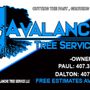 Photo of Avalanche Tree Service