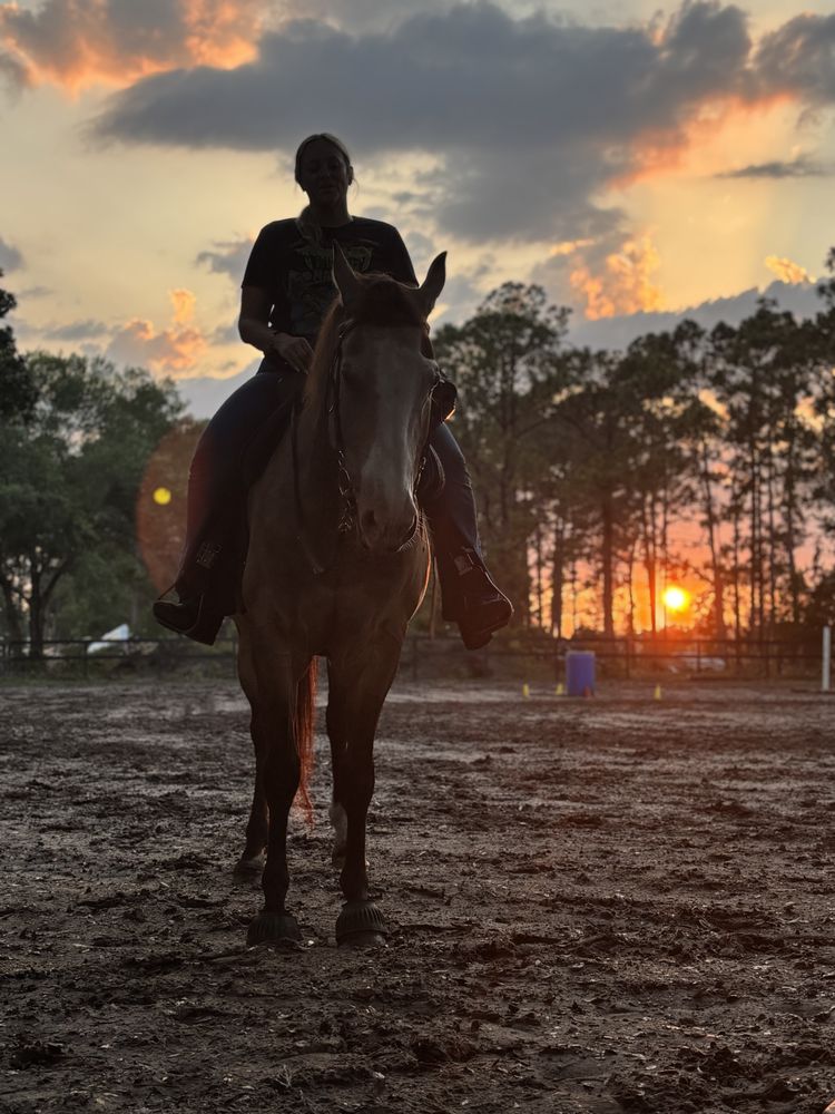 LJs Horse Lessons - equestrian in Orlando, FL