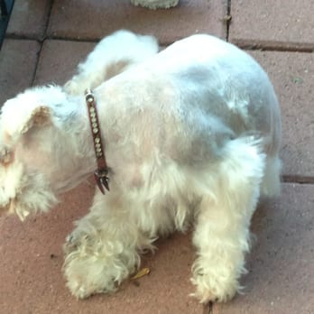 Harlingen Pets - Looks terrible. Less than mediocre. - Pet Stores Near Me - Harlingen, Texas